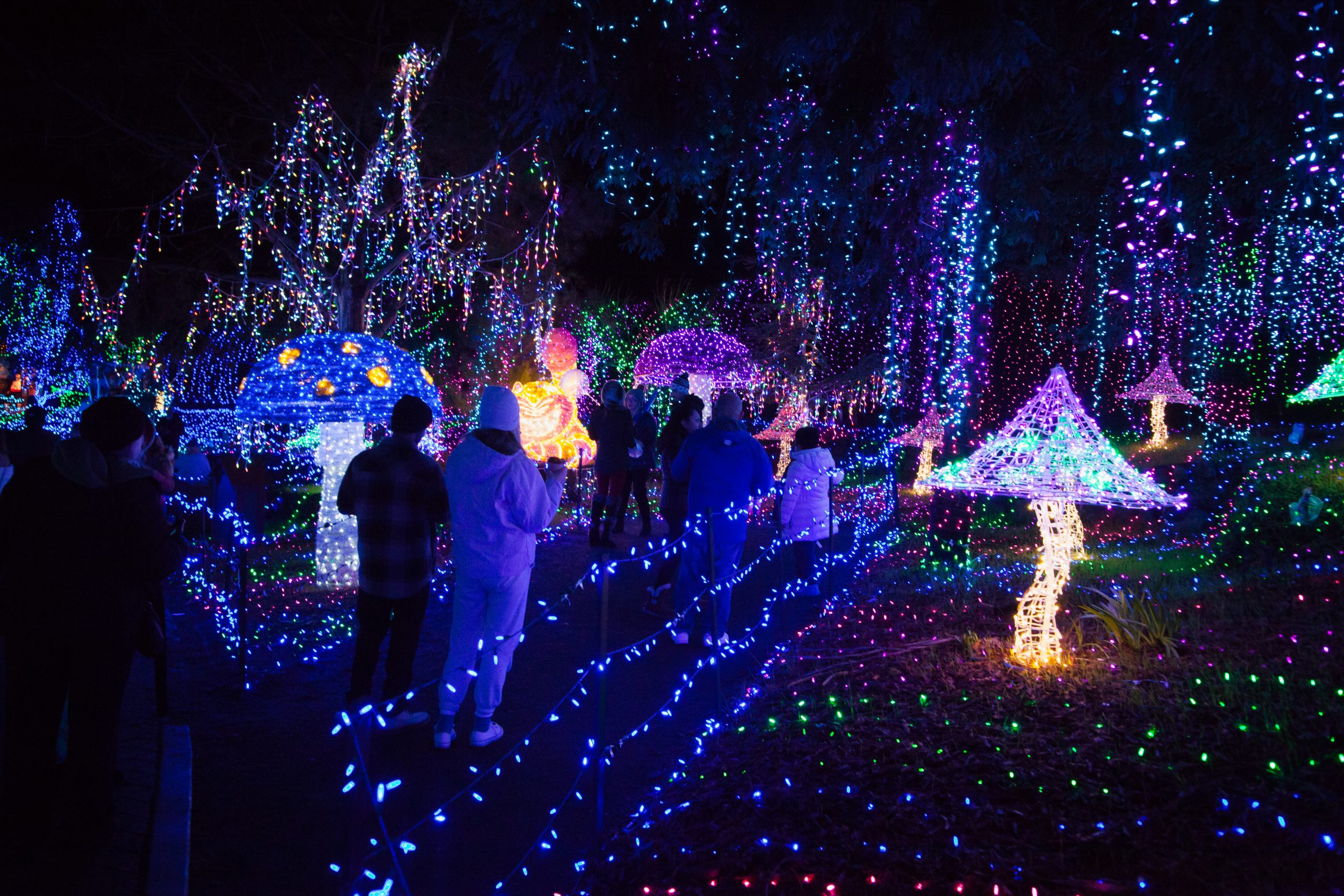 Cambria Pines Lodge Christmas Lights Walk | Shelly Lighting