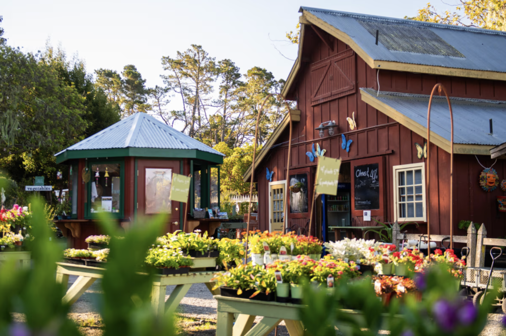 J. Patrick House & Inn — photo