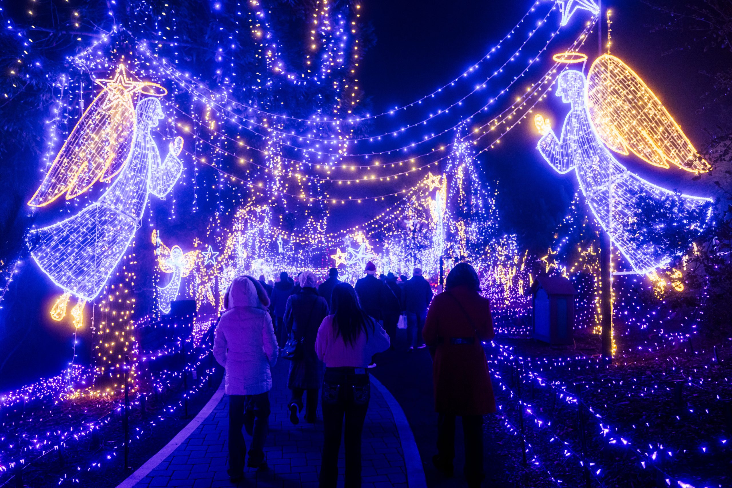 Hotels Near Cambria Christmas Market: What to Know Before You Book